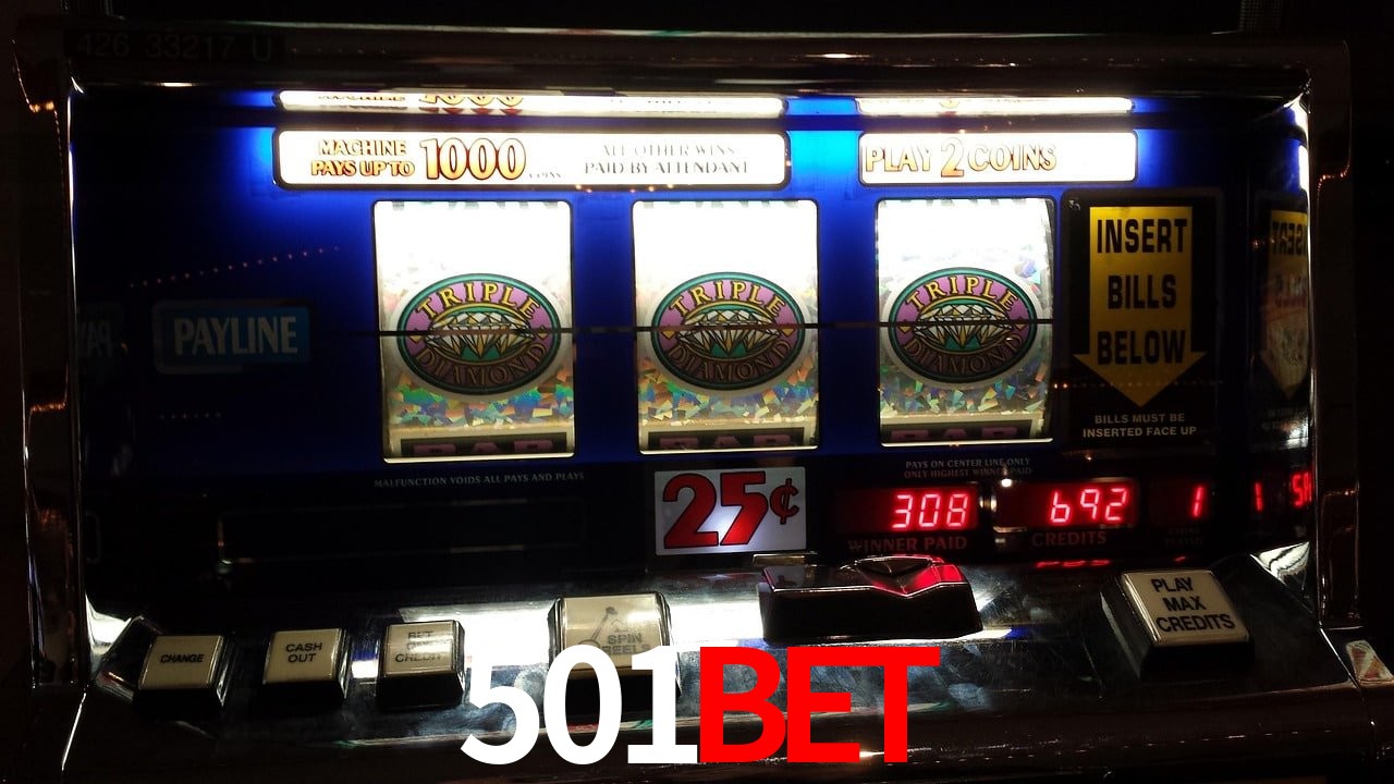Experiência VIP 501bet